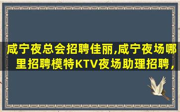 白银夜总会招聘